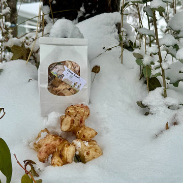 Why Planting Jerusalem Artichokes Early and Overwintering Them is a Game Changer
