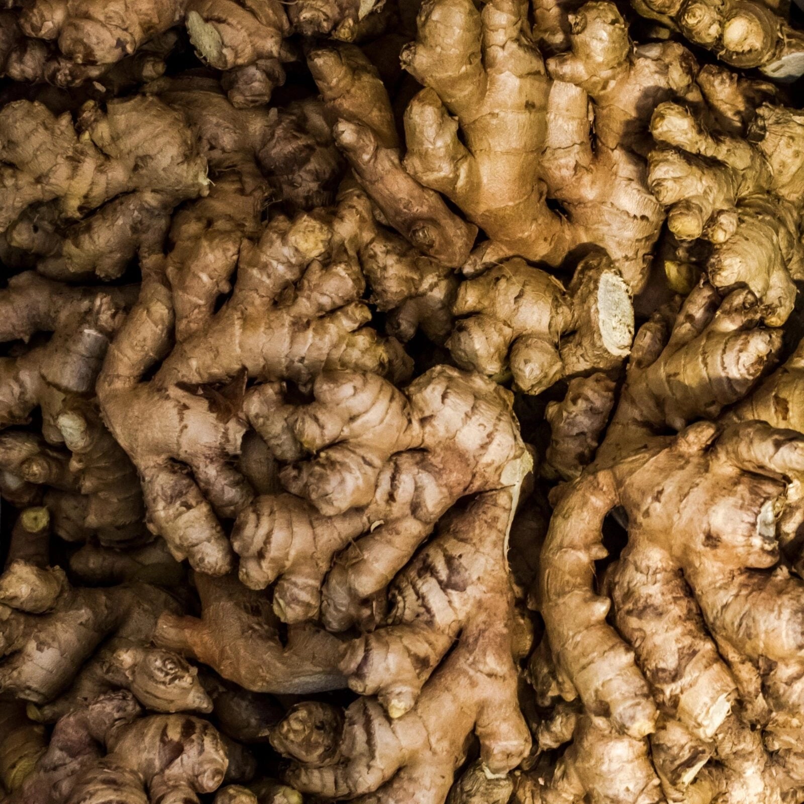 GINGER bullk
