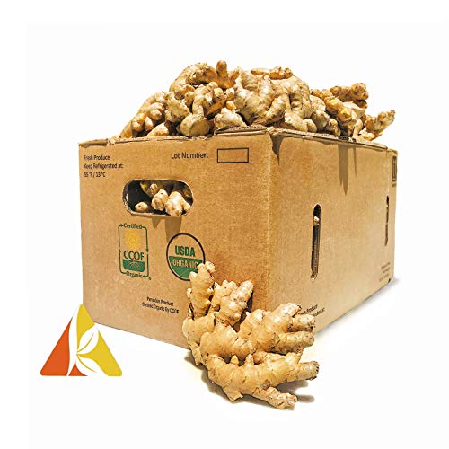 GINGER CASE