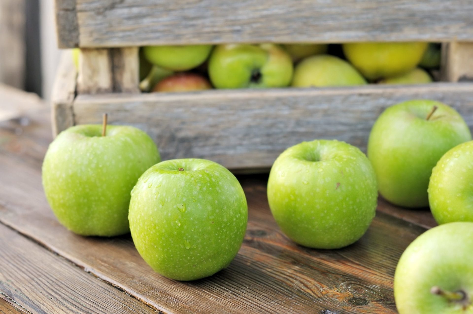 D3984 Mrs. GREEN APPLE 「5COMPLETE BOX」 Limited Production Mrs. Green Apple Special Complete Box | eBay