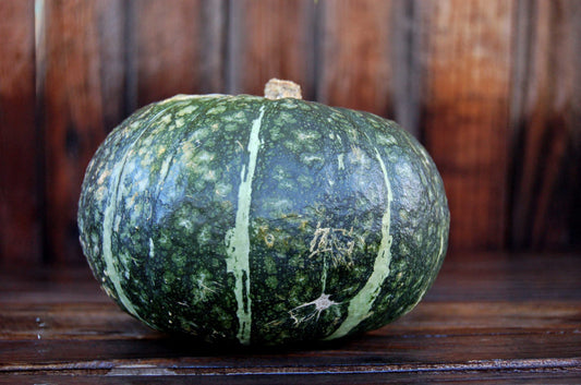 green kabocha pumpkin
