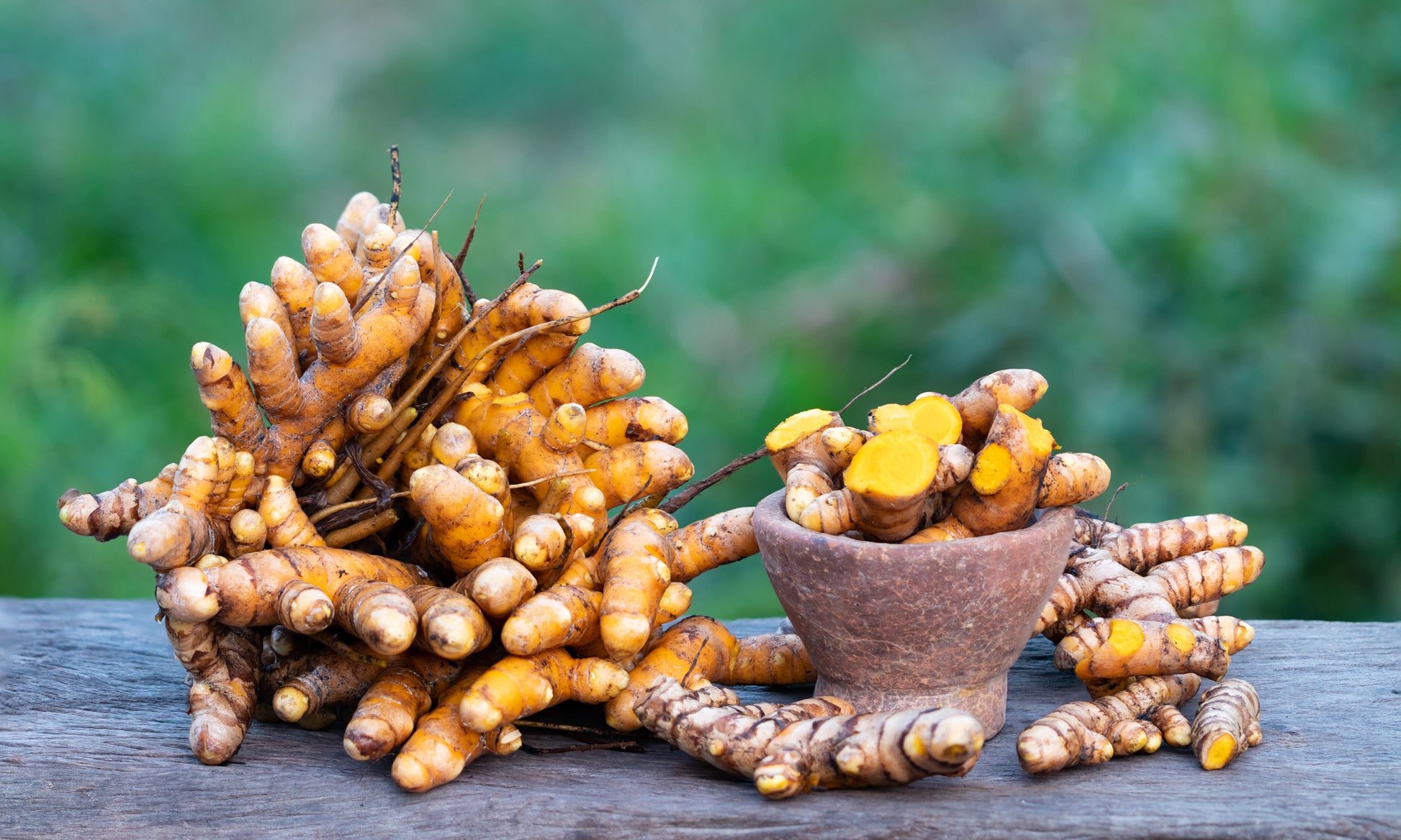 TURMERIC bulb