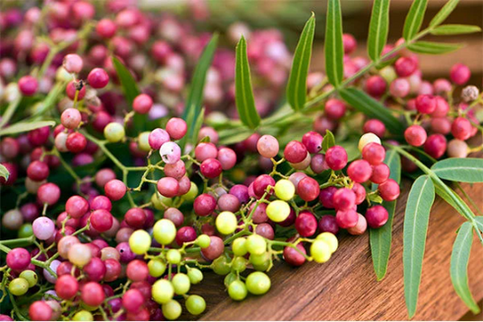 Pinks Small seeds