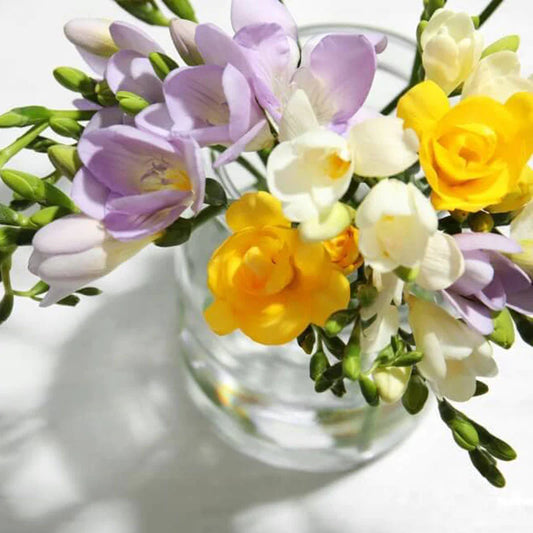 white yellow flower
