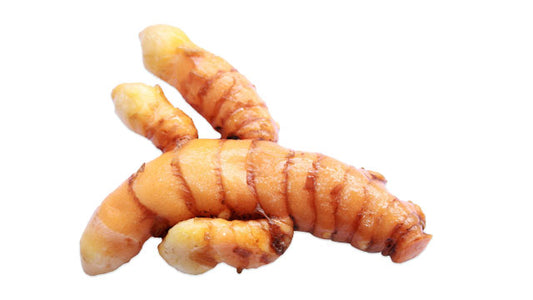 Rhizome