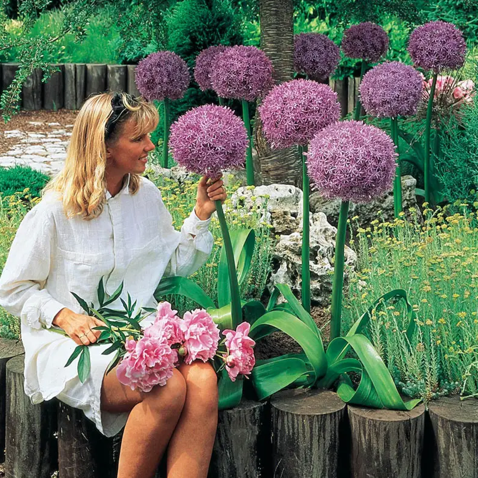 How to Plant Allium Bulbs: Easy Step-by-Step Guide for Gorgeous Spring Flowers
