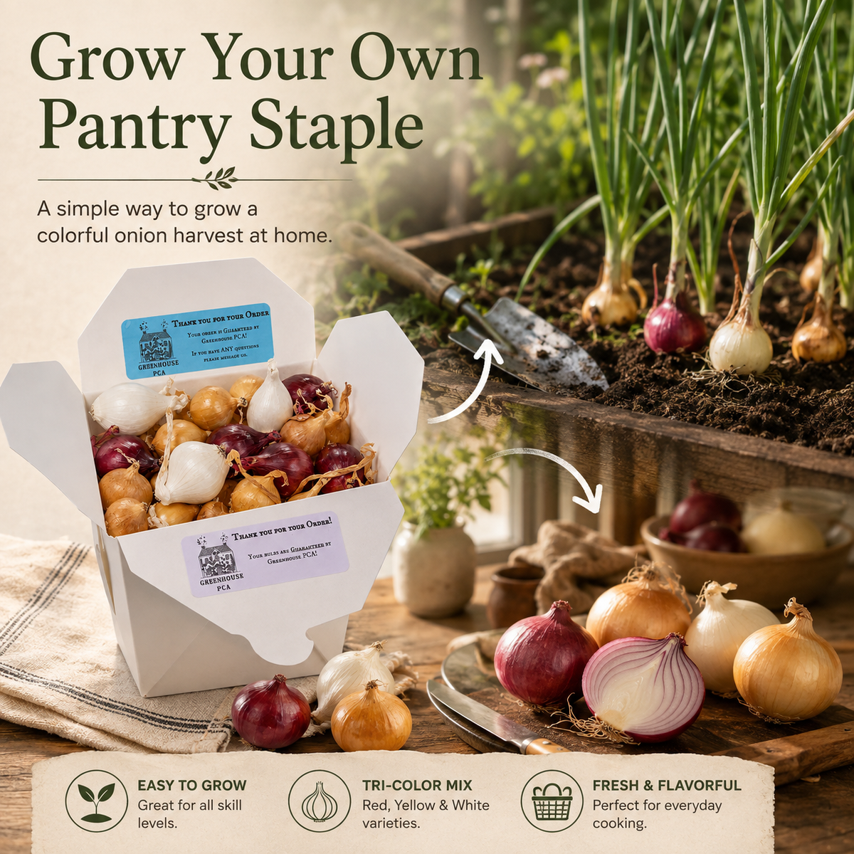 Grow your own pantry staple: onion sets going from the box into a garden bed and on to a harvest of red, yellow and white onions