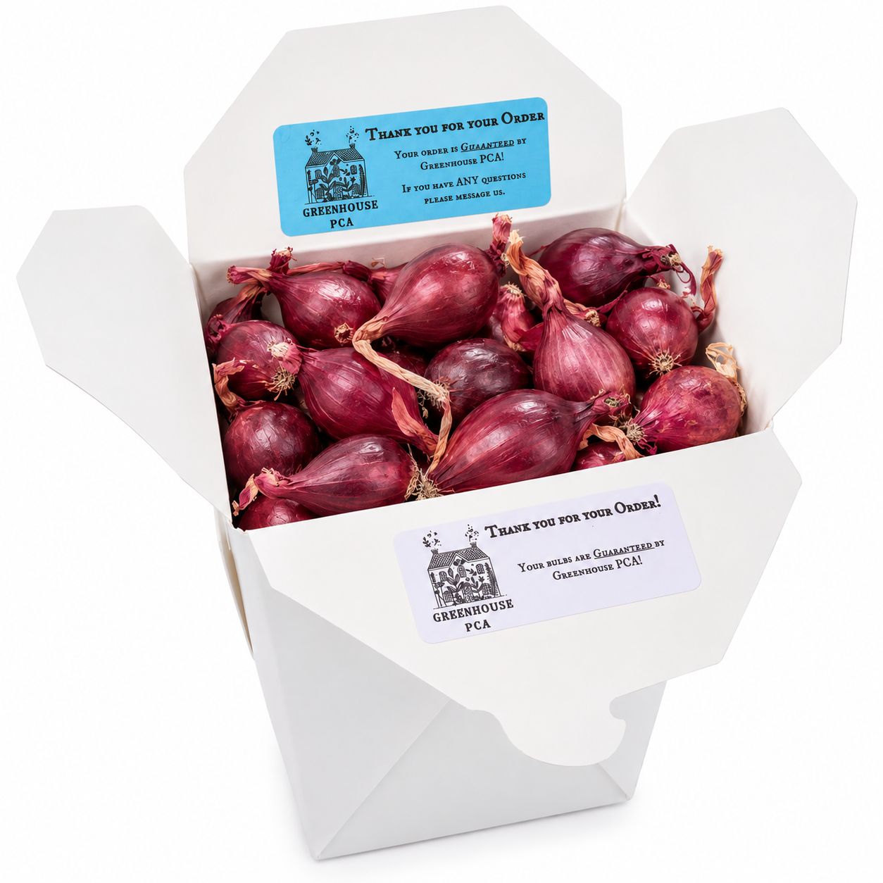 A Greenhouse PCA box packed with red onion sets ready for planting