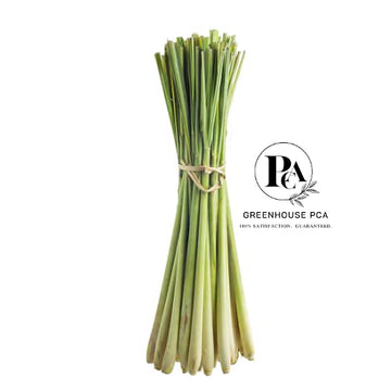 Fresh Lemongrass Stalks for Cooking by Greenhouse PCA