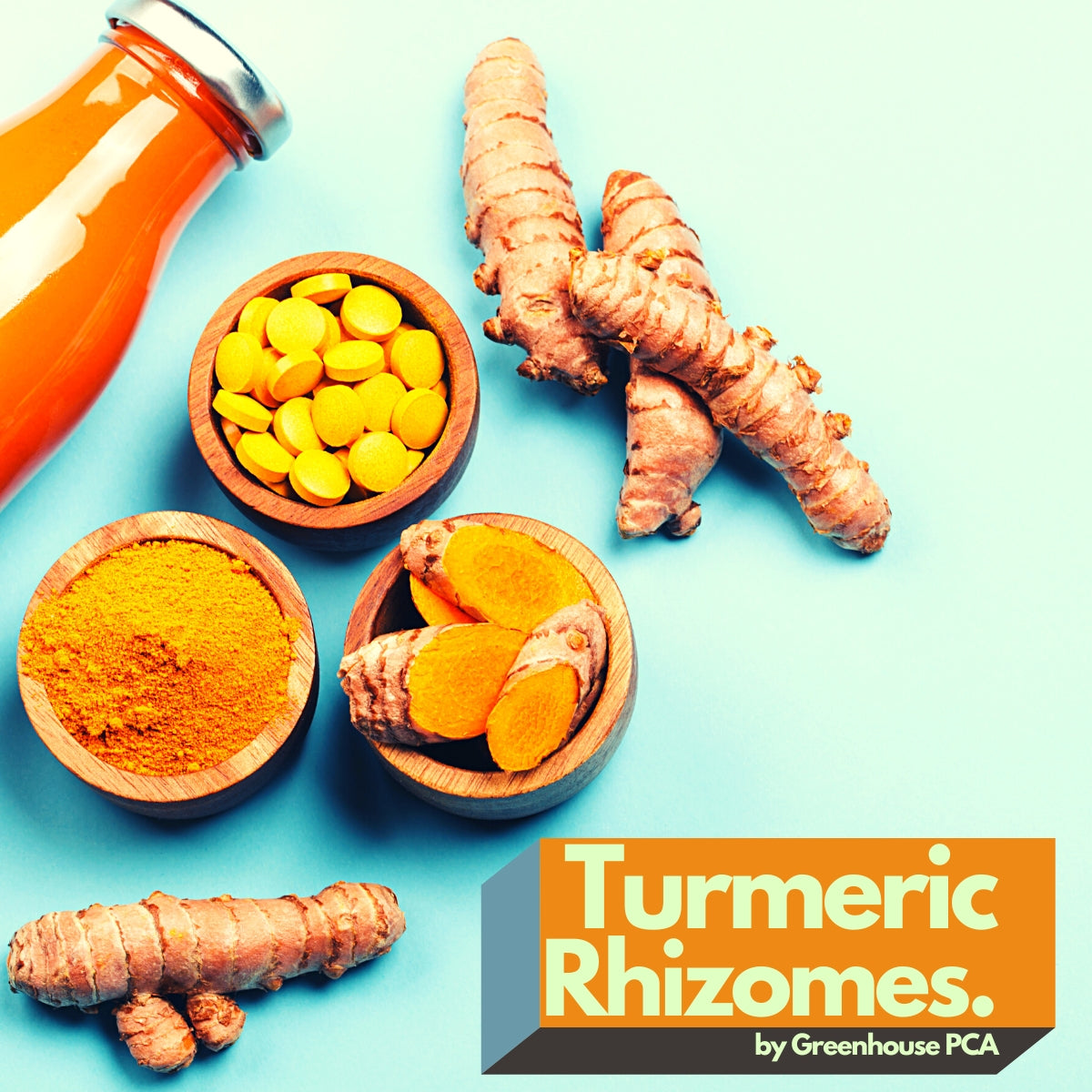 TURMERIC RHIZOMES